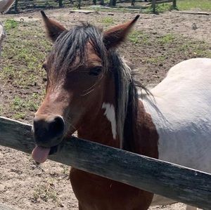 Meet your Posher, Tiffany